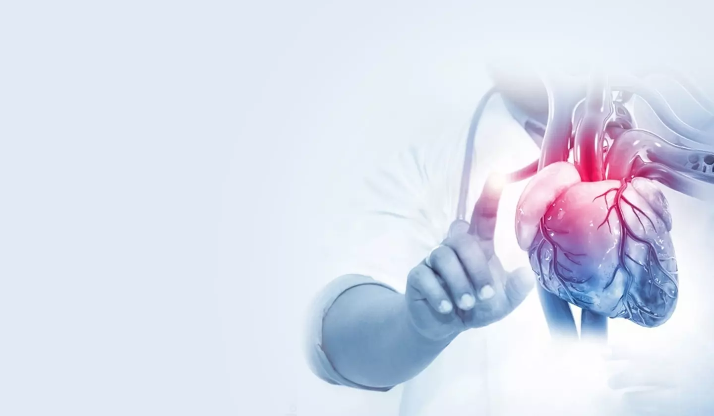 How Interventional Radiology Reduces Risks in Liver Cancer Treatments